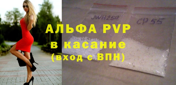 хмурый Аркадак