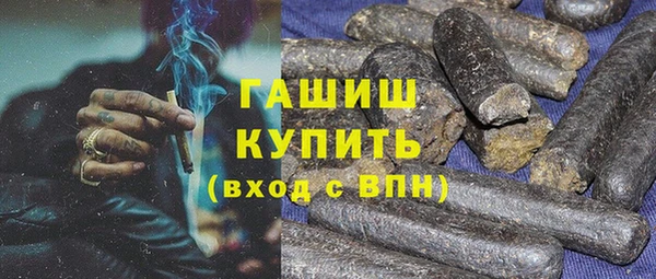 хмурый Аркадак