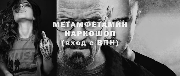 хмурый Аркадак