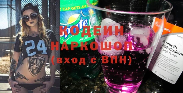 хмурый Аркадак