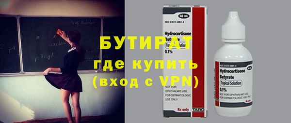 хмурый Аркадак