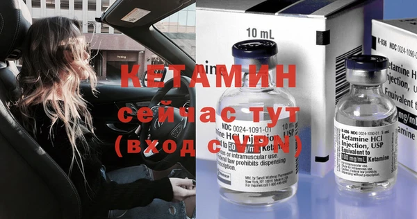 хмурый Аркадак