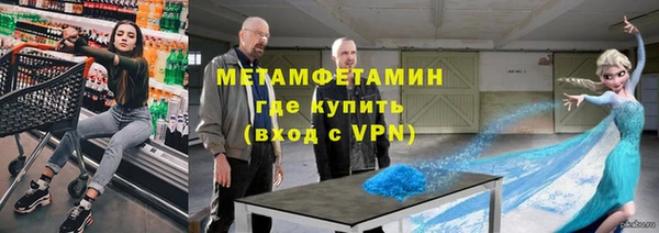 хмурый Аркадак