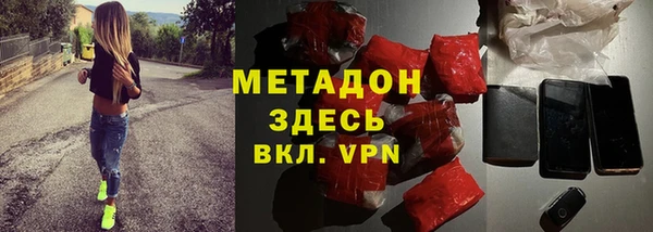 хмурый Аркадак
