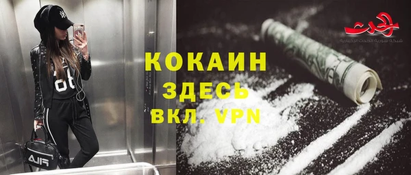 хмурый Аркадак