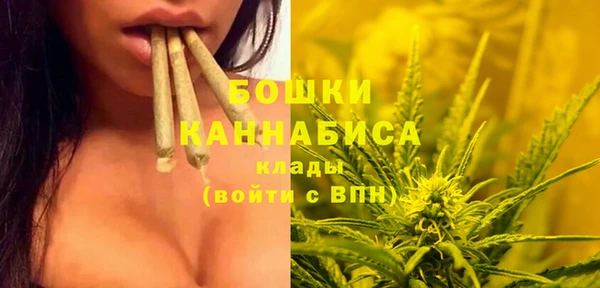 хмурый Аркадак