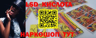 спиды Гатчина