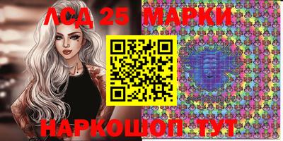 спиды Гатчина