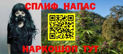 ешки Гай