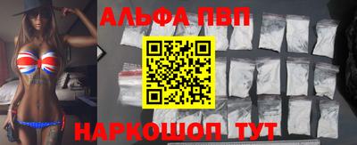 спиды Гатчина