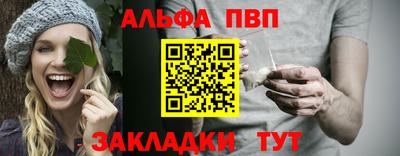 спиды Гатчина