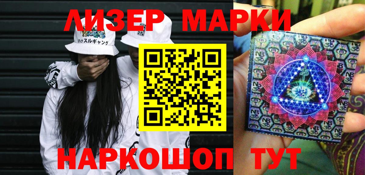 МЕФ Волхов