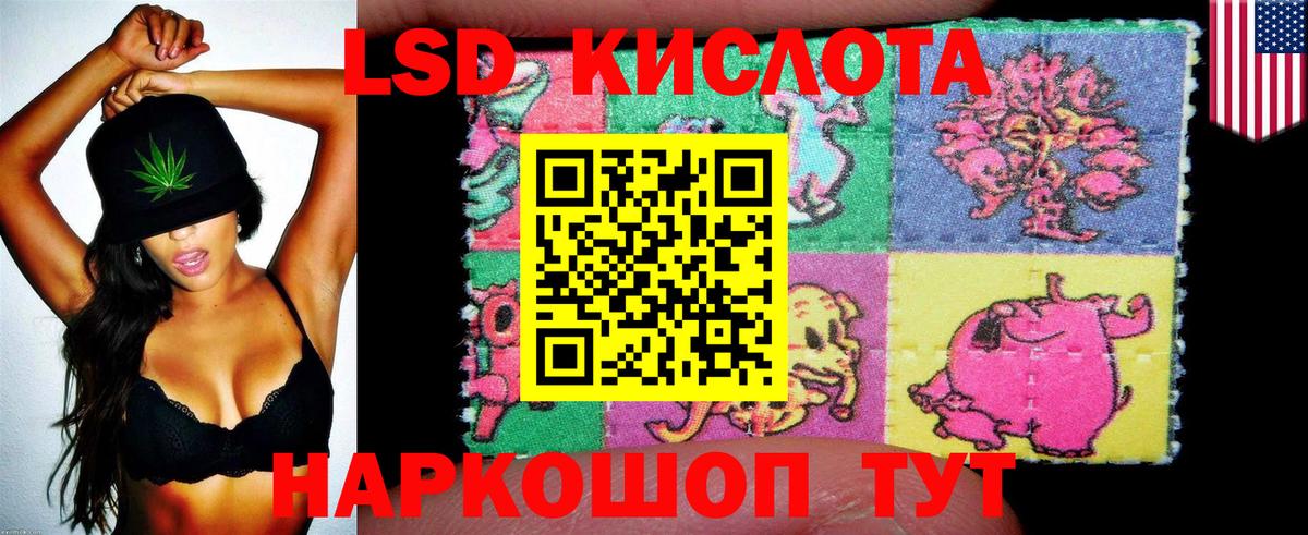 Наркотические марки 1,5мг Волхов