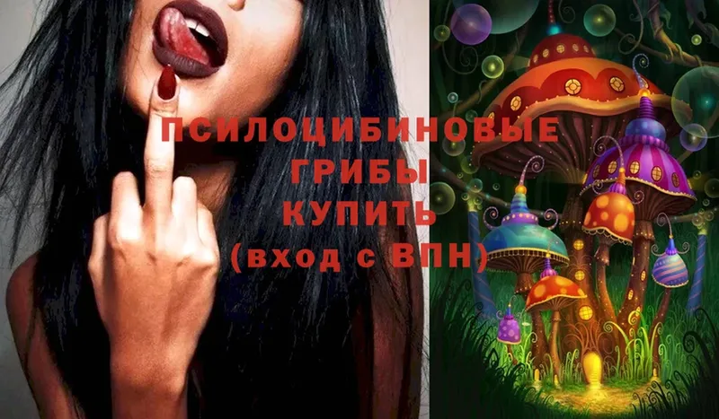 Галлюциногенные грибы Magic Shrooms  купить  сайты  Волхов 