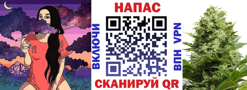 закладки  Волхов  shop какой сайт  Шишки марихуана план 